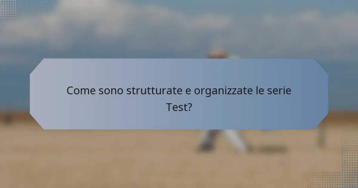 Come sono strutturate e organizzate le serie Test?