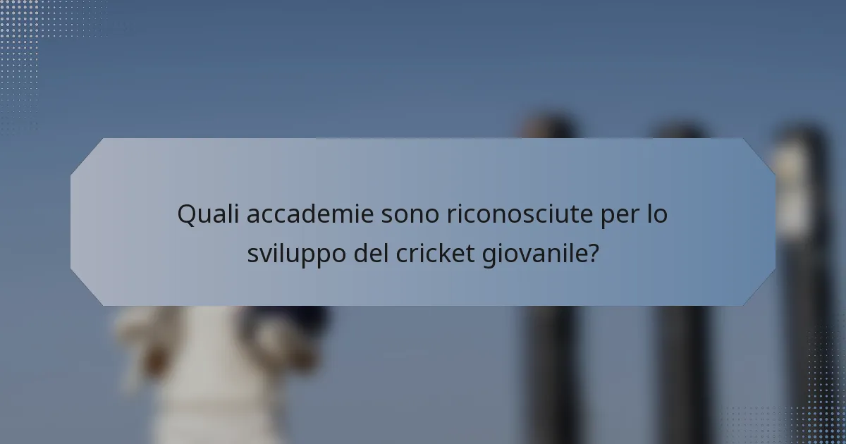Quali accademie sono riconosciute per lo sviluppo del cricket giovanile?