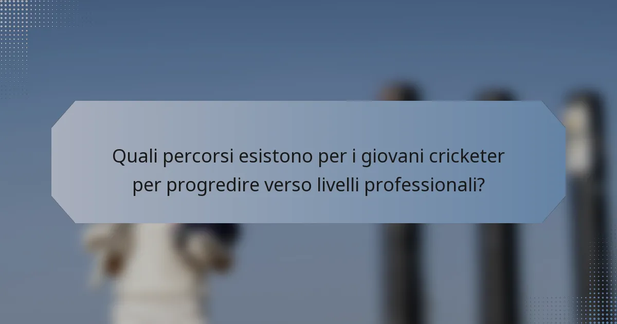 Quali percorsi esistono per i giovani cricketer per progredire verso livelli professionali?